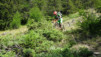 mont-saron_031