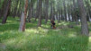 mont-saron_036