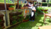 mont_paillasse_001