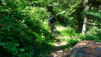 mont_paillasse_004