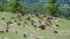 mont_paillasse_016
