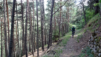 mont_paillasse_028