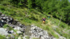 moosalp_15_005