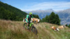 moosalp_15_013