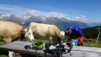 moosalp_15_014