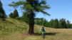 moosalp_15_017