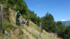 moosalp_15_034