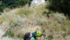 moosalp_15_037