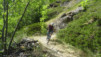 moosalp_15_046