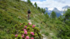 moosalp_18_008