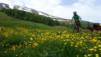 moosalp_18_011