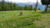 moosalp_18_014