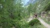 moosalp_18_027