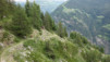 moosalp_18_030