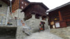 moosalp_18_036