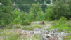moosalp_18_037