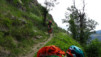moosalp_18_038