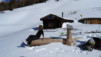 niwen_19_0007