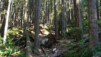 ... avant d'aborder sa grande soeur "noire", Dale's Trail herself. north_vancouver_009