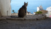 nucia_xirles_002