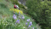 oberblatt_19_002