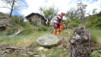 oberblatt_19_031