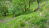 oberblatt_19_034