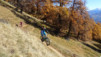 oberi_meiggu_006