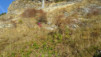 oberi_meiggu_048