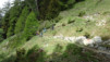 oberu_bachalp_007