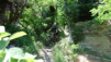 oberu_bachalp_028