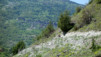 ossona_020