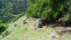 ossona_029