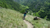 ossona_032