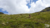 paglietta_17_024