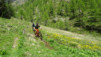 paglietta_17_034