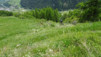 paglietta_17_039