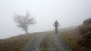 paglietta_19_004