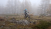 paglietta_19_008
