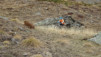 paglietta_19_026