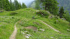 Un pas aujourd'hui sans moutons, mais des roues libres qui chantent. pas_des_moutons_020