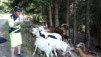 pas_des_moutons_15_001