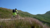 pas_des_moutons_15_005