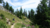 pas_des_moutons_15_025