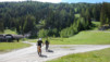 pas_des_moutons_2020_001