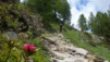pas_des_moutons_2020_030