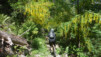 pas_des_moutons_2020_034
