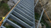 pas_maimbre_18_009