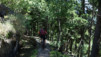 pas_maimbre_18_027