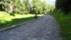 pas_moutons_16e_007